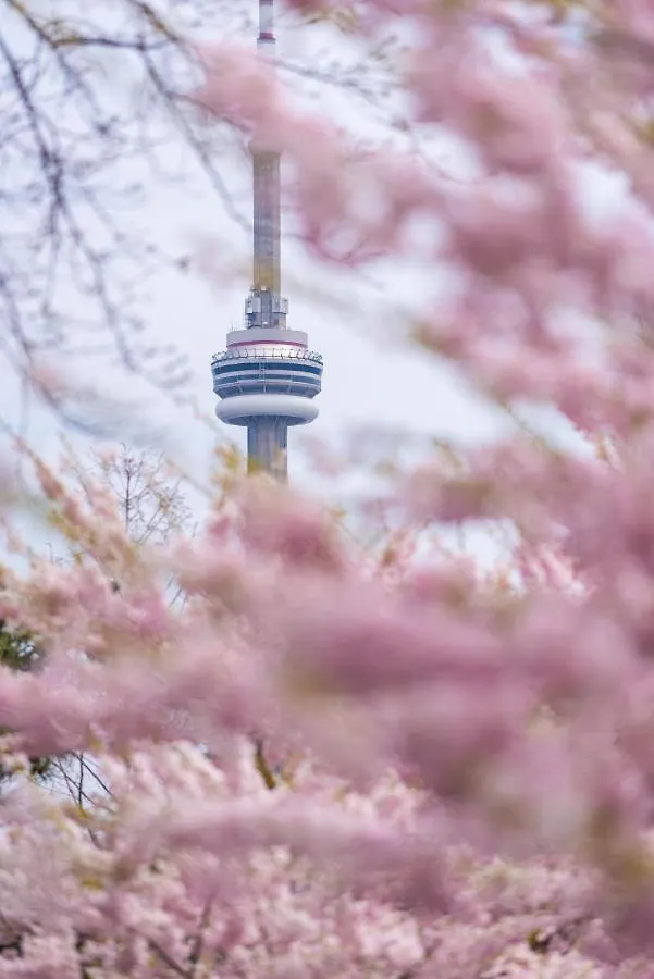 Park Hyatt Toronto Hotel